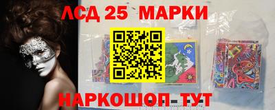 индика Заволжье