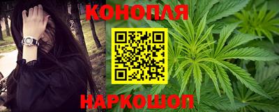 индика Заволжье