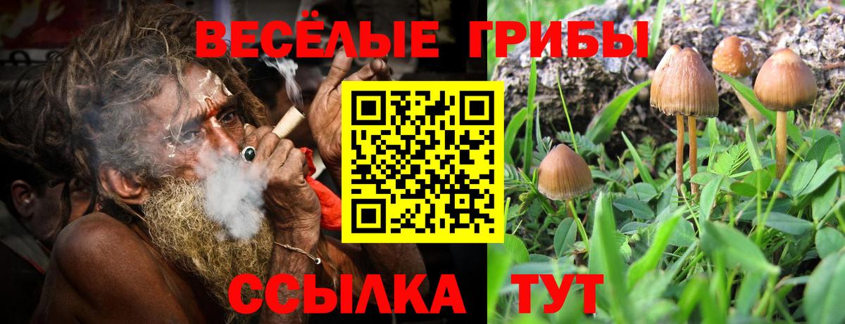 Галлюциногенные грибы мицелий  Вход с VPN  Мичуринск 